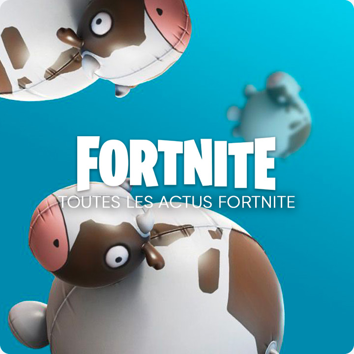 Actualités Fortnite France